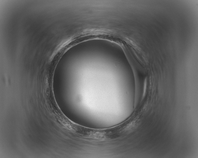 X0000080111261200612151638