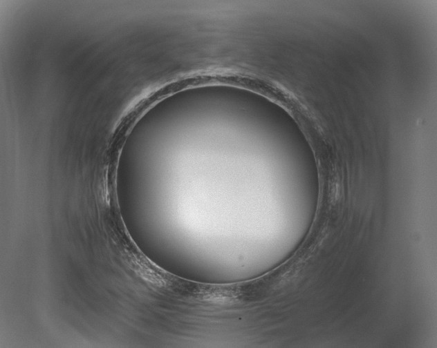 X0000080111262200612151637