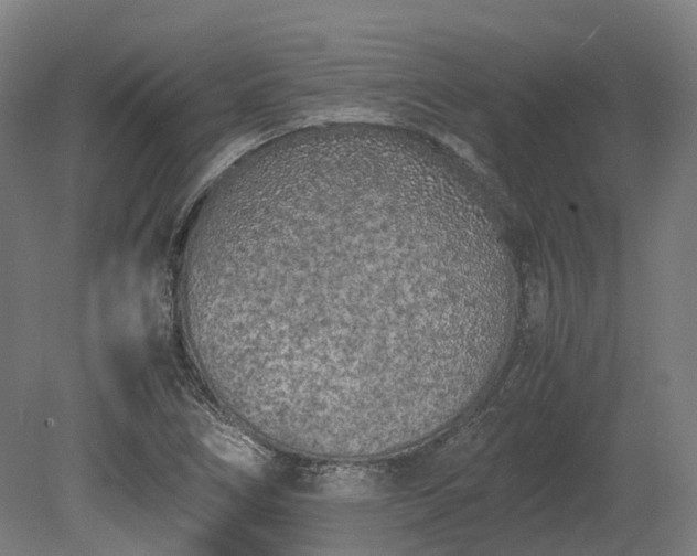 X0000080111266200612151637