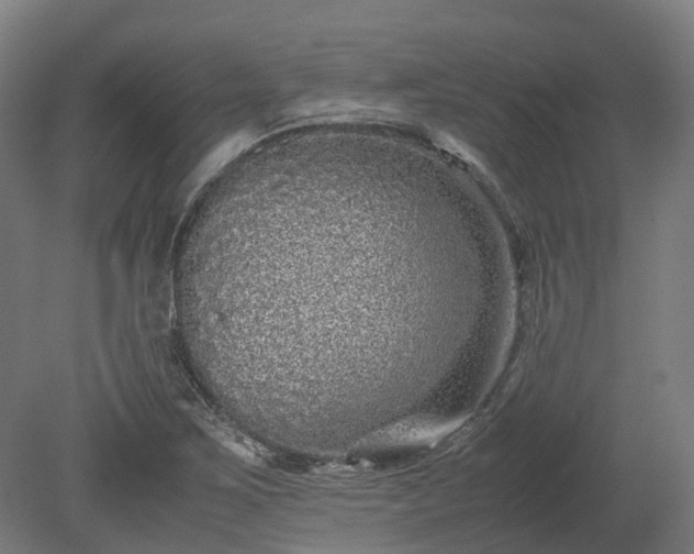X0000080111267200612151637