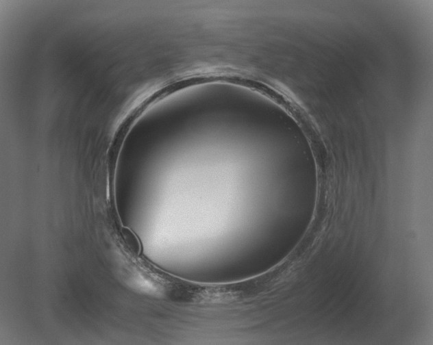 X0000080111269200612151637