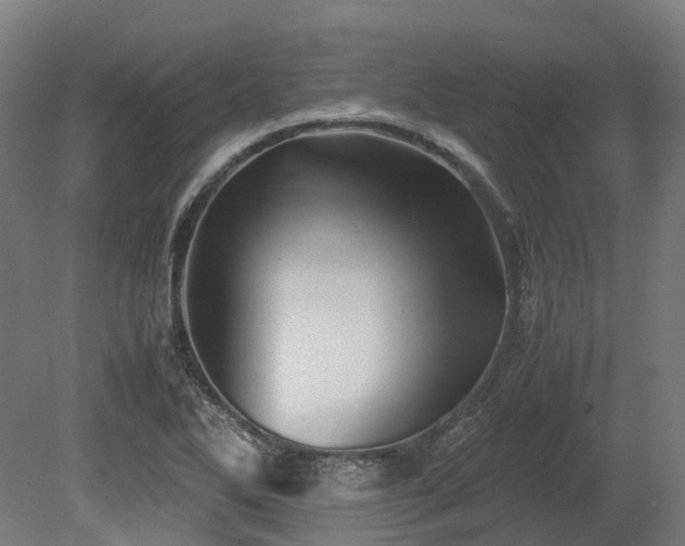 X0000080111270200612151637