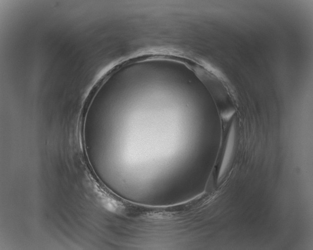 X0000080111272200612151637