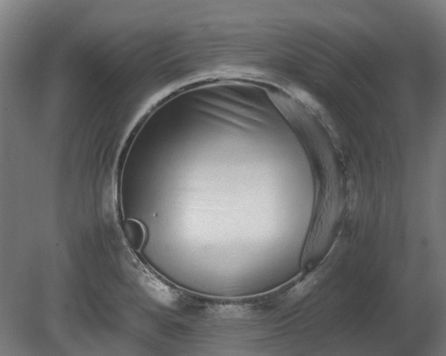 X0000080111280200612151637