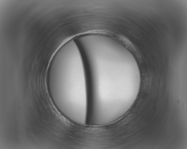 X0000080111284200612151637