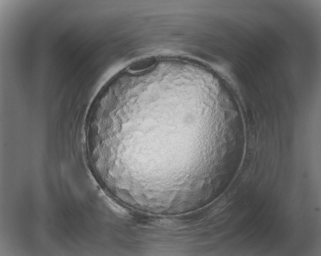 X0000080111287200612151637