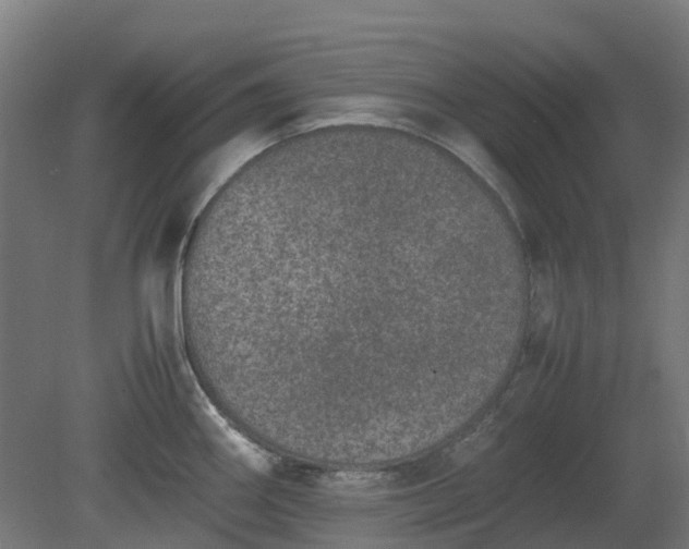 X0000080111290200612151637