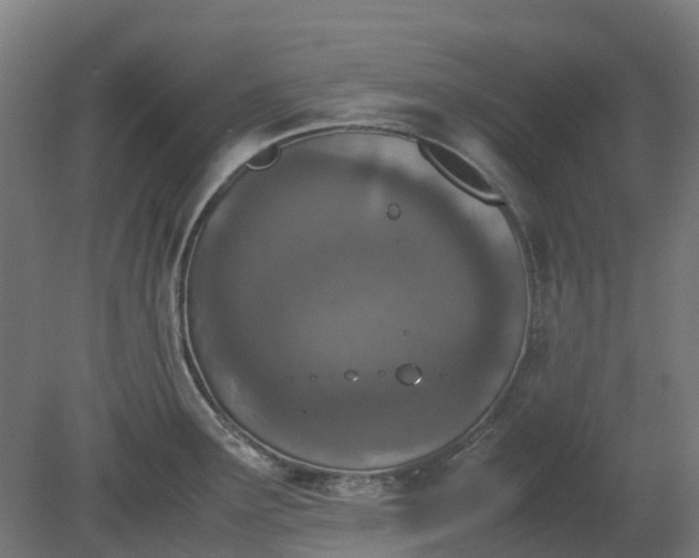 X0000080111291200612151637