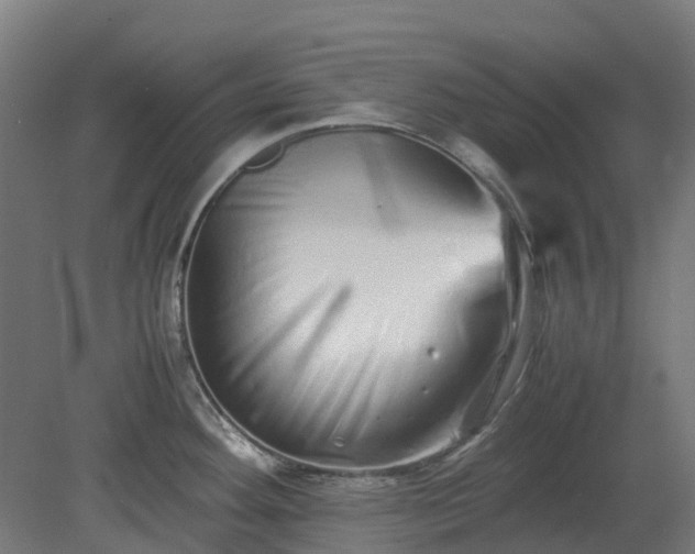 X0000080111292200612151637
