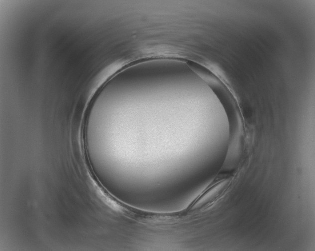X0000080111293200612151637