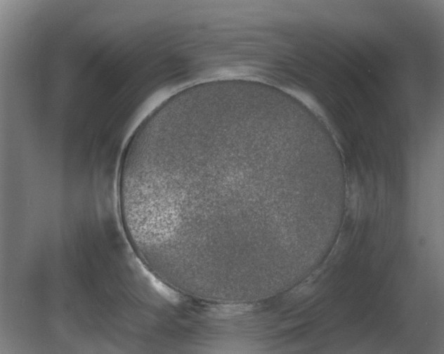 X0000080111294200612151637