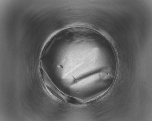 X0000080111296200612151637