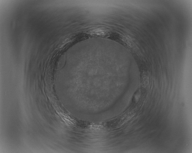 X0000080111297200612151636