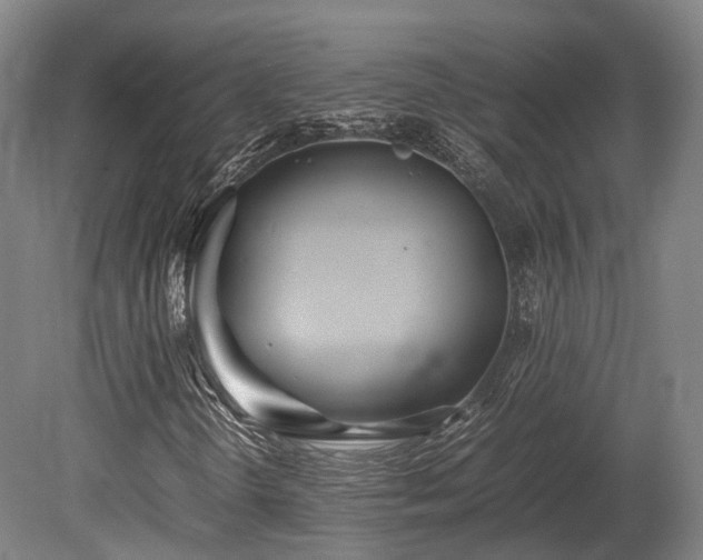 X0000080111298200612151636