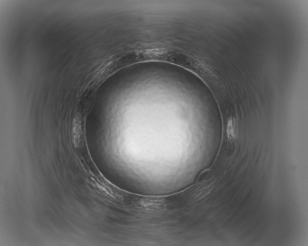 X0000080111299200612151636