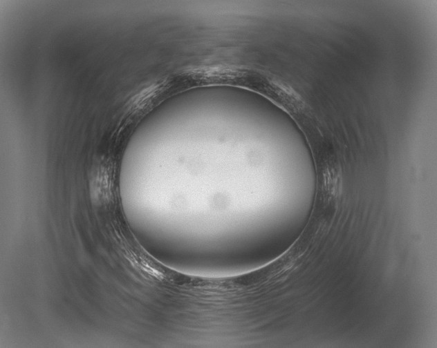 X0000080111300200612151636