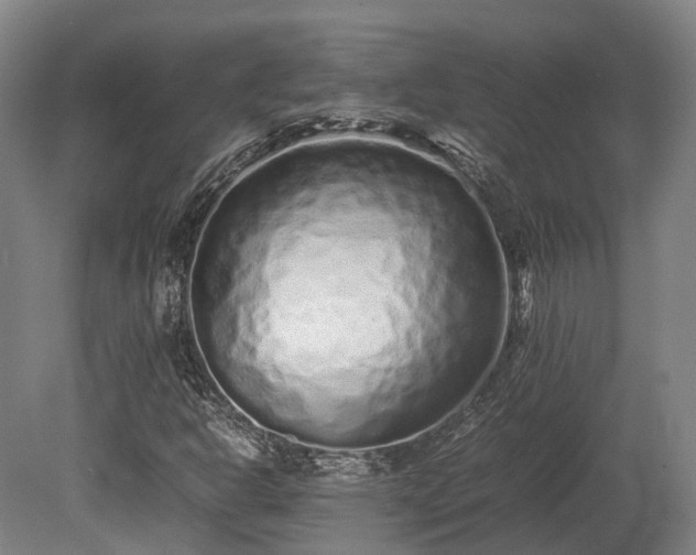 X0000080111302200612151636