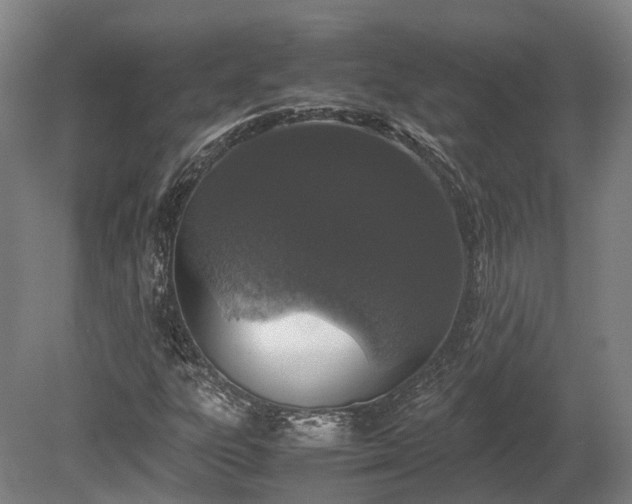X0000080111303200612151636