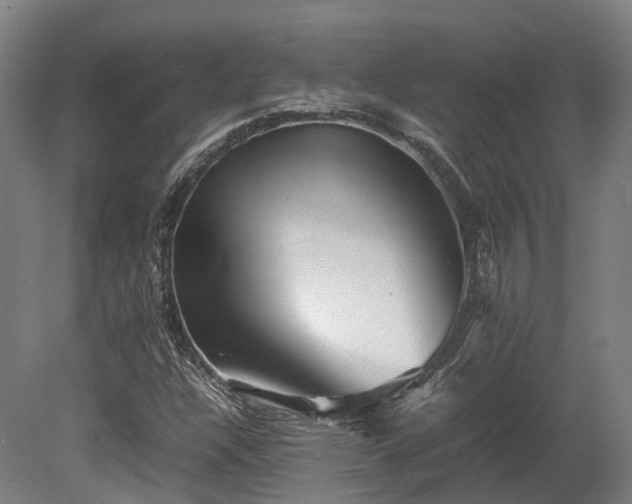 X0000080111304200612151636