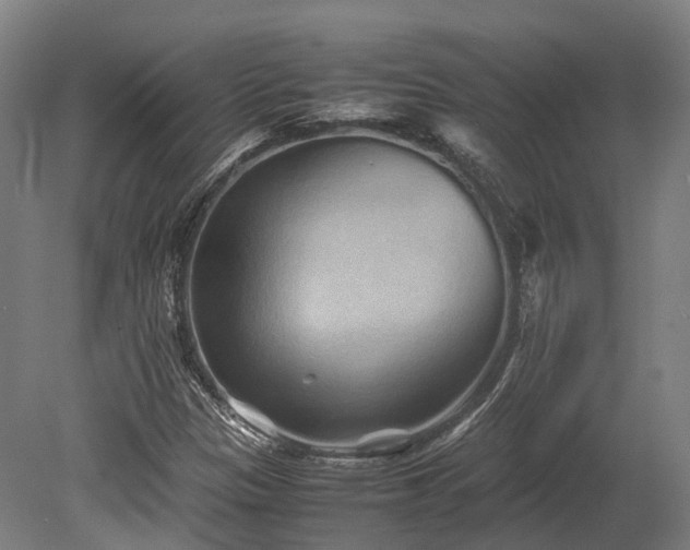 X0000080111305200612151636