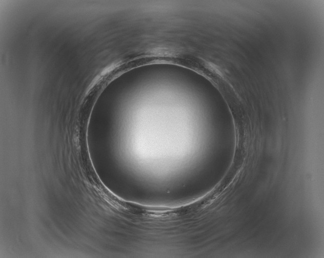X0000080111307200612151636