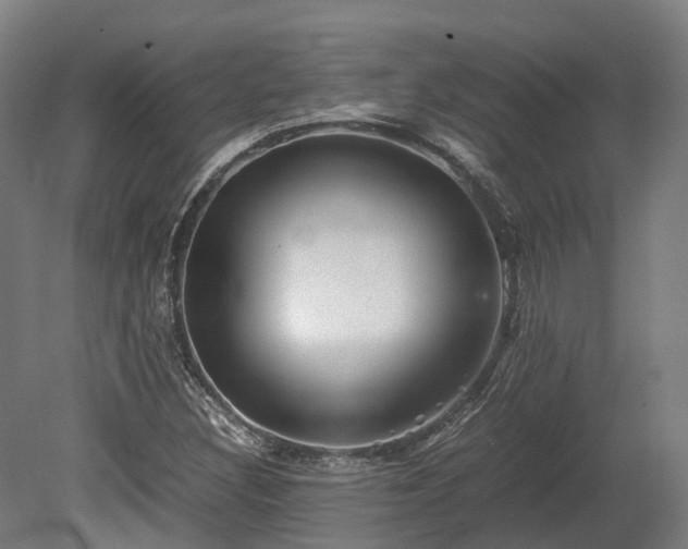 X0000080111308200612151636