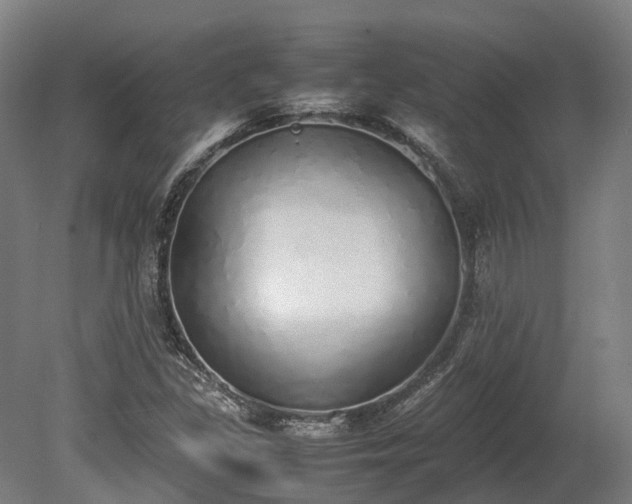 X0000080111309200612151636