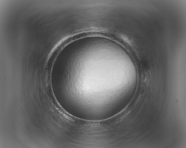 X0000080111310200612151636