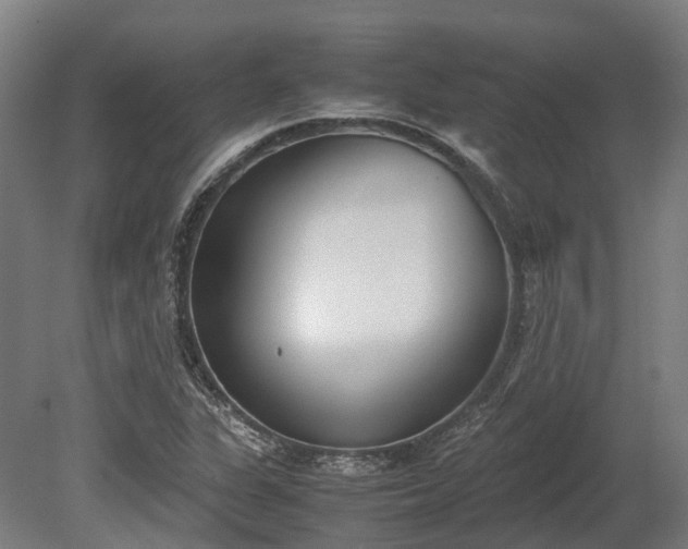 X0000080111311200612151636