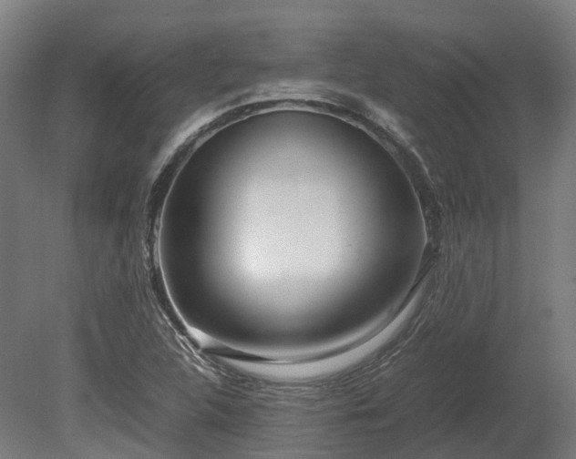 X0000080111312200612151636
