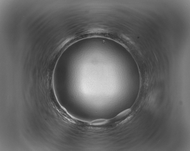 X0000080111313200612151636