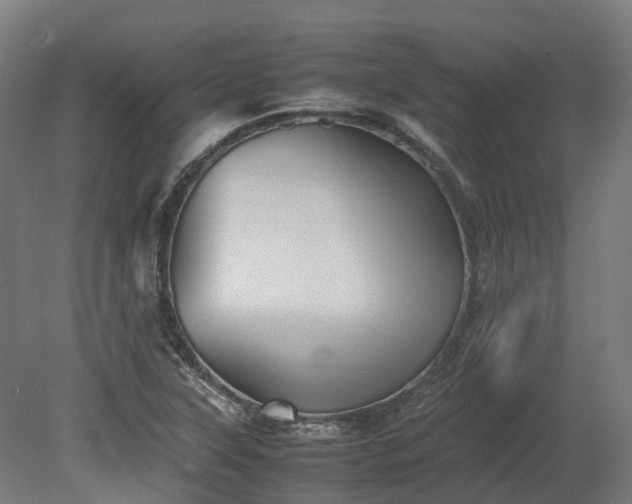 X0000080111315200612151636