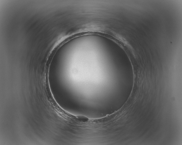 X0000080111316200612151636