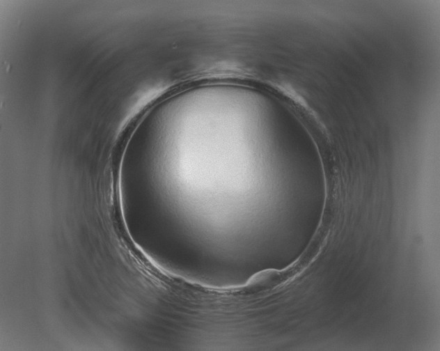 X0000080111317200612151636