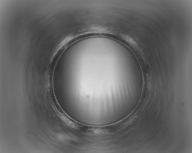 X0000080111318200612151636