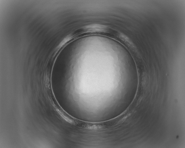 X0000080111321200612151637