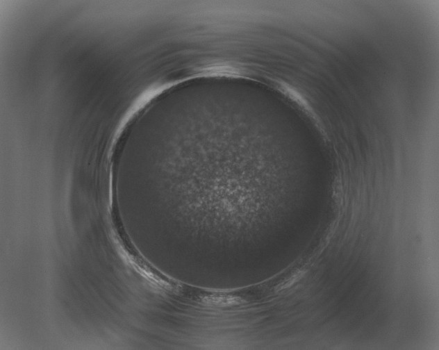X0000080111323200612151637
