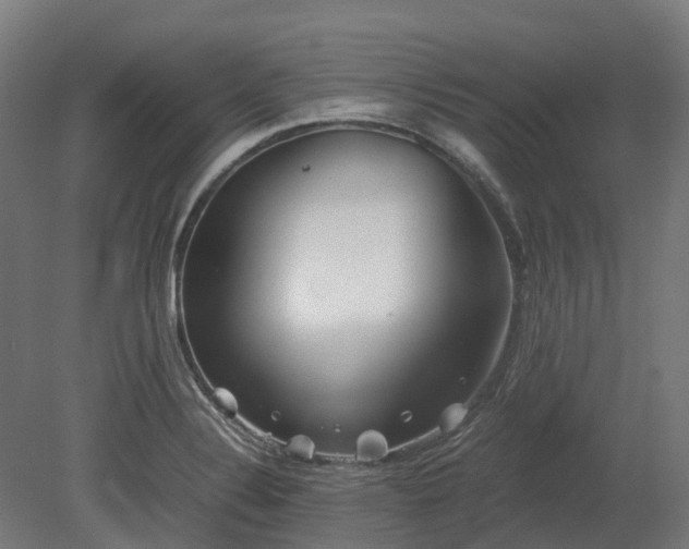 X0000080111324200612151637