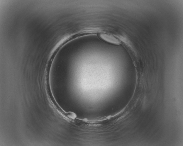 X0000080111325200612151637
