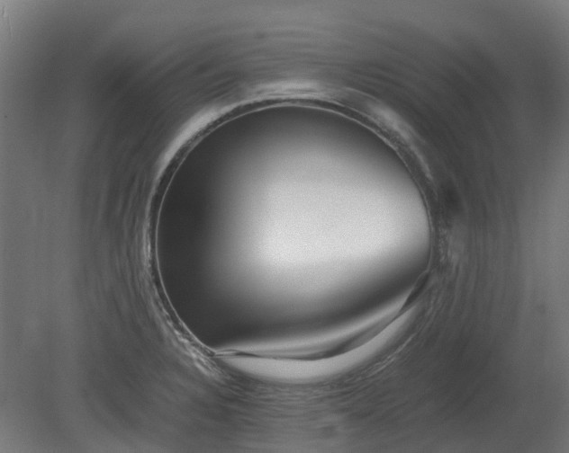 X0000080111328200612151637