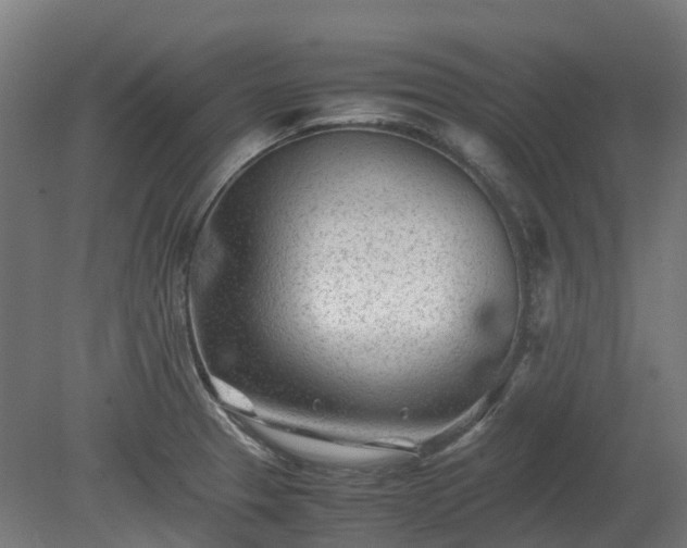 X0000080111329200612151637