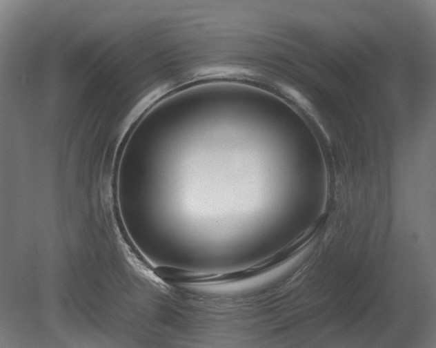 X0000080111330200612151637