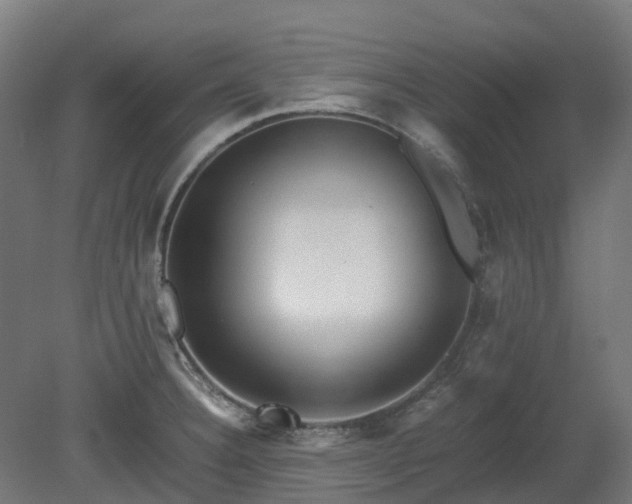 X0000080111332200612151637