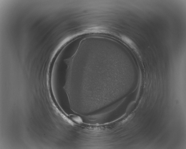 X0000080111334200612151637