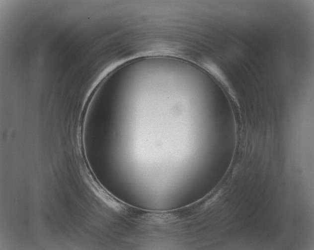 X0000080111340200612151637