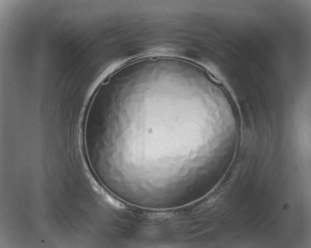 X0000080111341200612151637