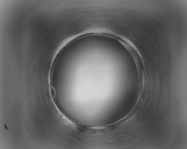 X0000080111343200612151637