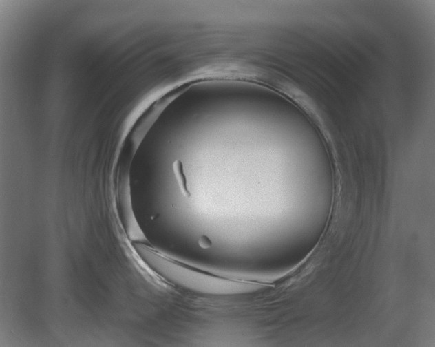 X0000080111344200612151637