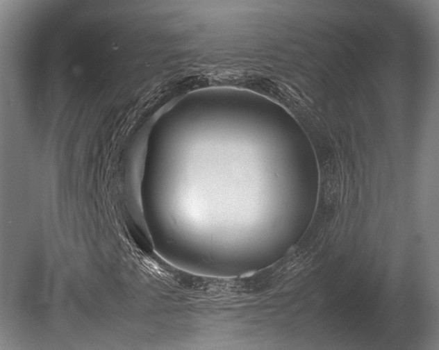 X0000080111345200612151636