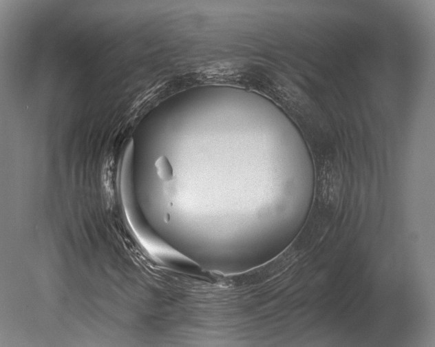 X0000080111346200612151636